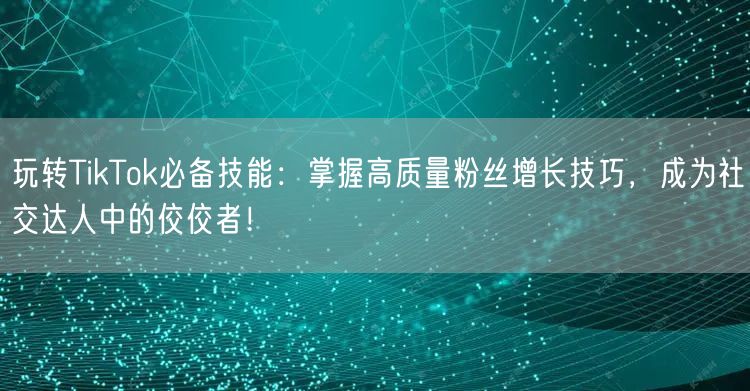 玩转TikTok必备技能：掌握高质量粉丝增长技巧，成为社交达人中的佼佼者！