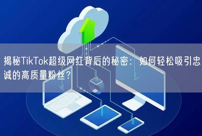 揭秘TikTok超级网红背后的秘密：如何轻松吸引忠诚的高质量粉丝？