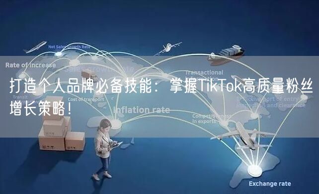 打造个人品牌必备技能：掌握TikTok高质量粉丝增长策略！