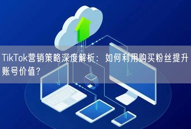 TikTok营销策略深度解析：如何利用购买粉丝提升账号价值？