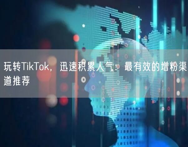 玩转TikTok，迅速积累人气：最有效的增粉渠道推荐