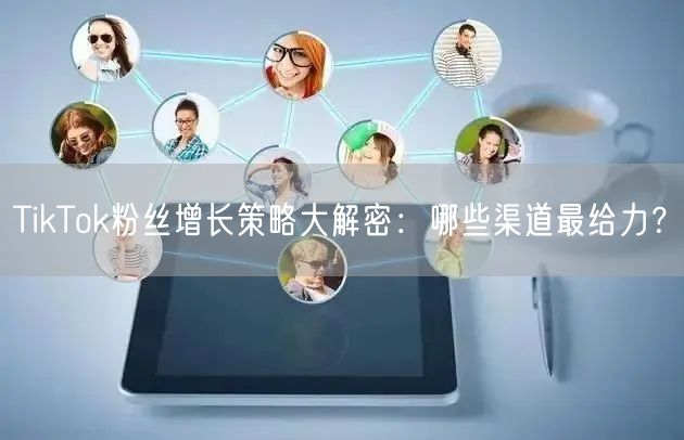 TikTok粉丝增长策略大解密：哪些渠道最给力？