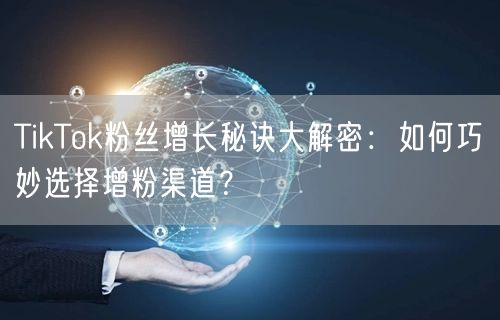 TikTok粉丝增长秘诀大解密：如何巧妙选择增粉渠道？