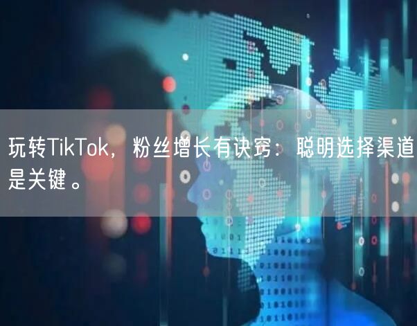 玩转TikTok，粉丝增长有诀窍：聪明选择渠道是关键。