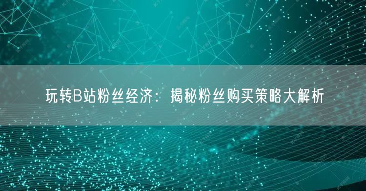 玩转B站粉丝经济：揭秘粉丝购买策略大解析