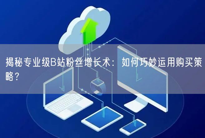 揭秘专业级B站粉丝增长术：如何巧妙运用购买策略？