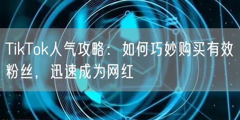 TikTok人气攻略：如何巧妙购买有效粉丝，迅速成为网红