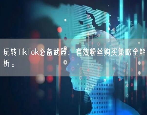 玩转TikTok必备武器：有效粉丝购买策略全解析。