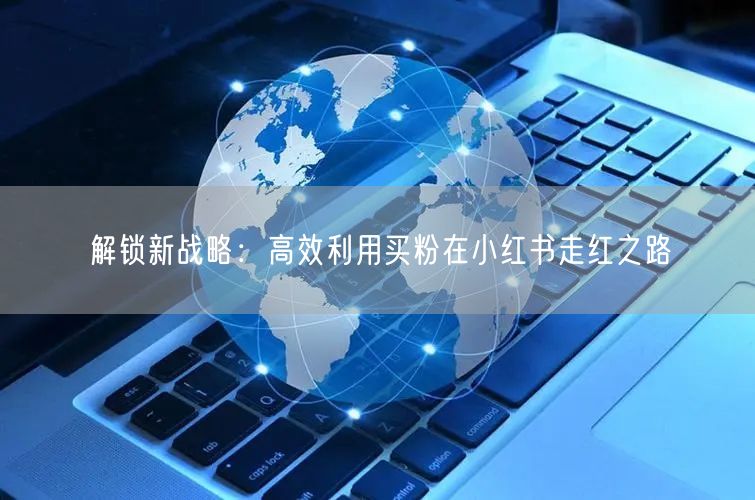 解锁新战略：高效利用买粉在小红书走红之路