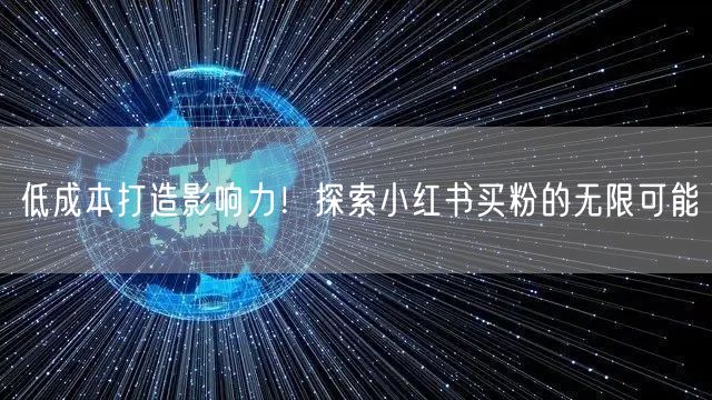 低成本打造影响力！探索小红书买粉的无限可能