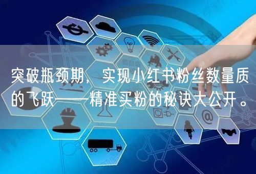 突破瓶颈期，实现小红书粉丝数量质的飞跃——精准买粉的秘诀大公开。