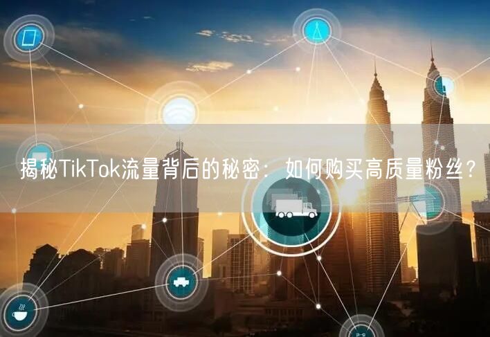 揭秘TikTok流量背后的秘密：如何购买高质量粉丝？