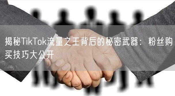 揭秘TikTok流量之王背后的秘密武器：粉丝购买技巧大公开