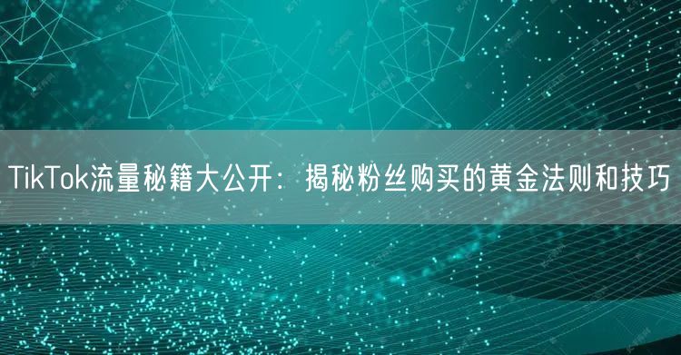 TikTok流量秘籍大公开：揭秘粉丝购买的黄金法则和技巧