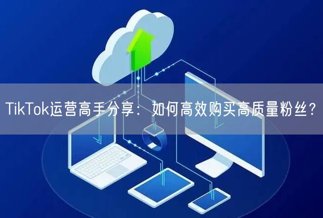 TikTok运营高手分享：如何高效购买高质量粉丝？