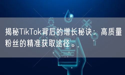 揭秘TikTok背后的增长秘诀：高质量粉丝的精准获取途径。