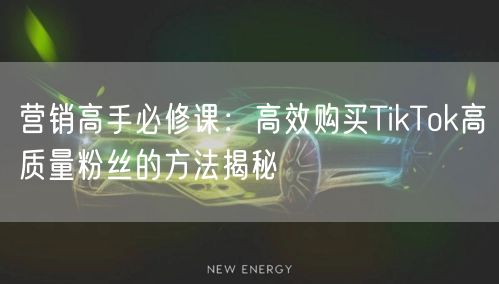 营销高手必修课：高效购买TikTok高质量粉丝的方法揭秘