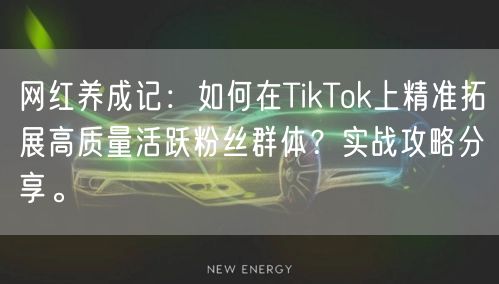网红养成记：如何在TikTok上精准拓展高质量活跃粉丝群体？实战攻略分享。