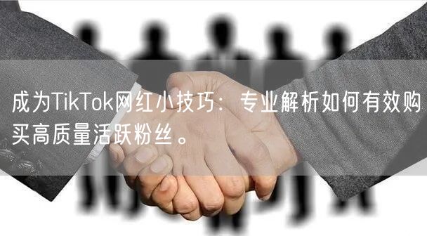 成为TikTok网红小技巧：专业解析如何有效购买高质量活跃粉丝。