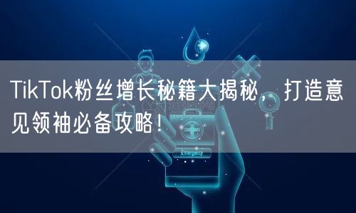 TikTok粉丝增长秘籍大揭秘，打造意见领袖必备攻略！