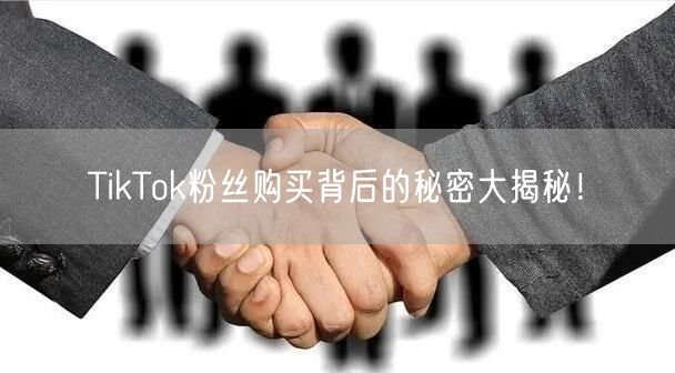 TikTok粉丝购买背后的秘密大揭秘！