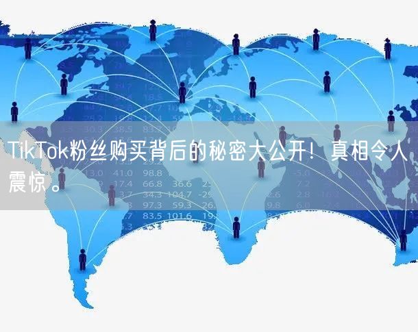 TikTok粉丝购买背后的秘密大公开！真相令人震惊。