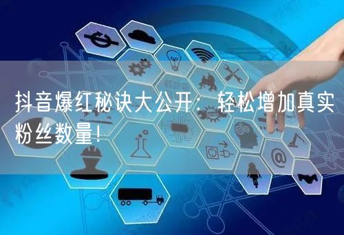 抖音爆红秘诀大公开：轻松增加真实粉丝数量！