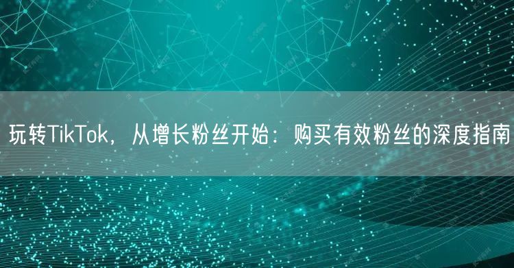 玩转TikTok，从增长粉丝开始：购买有效粉丝的深度指南