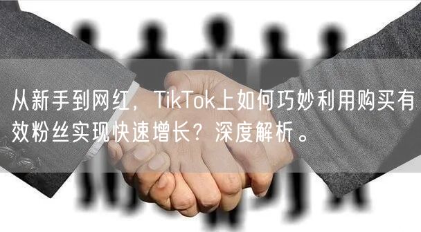 从新手到网红，TikTok上如何巧妙利用购买有效粉丝实现快速增长？深度解析。