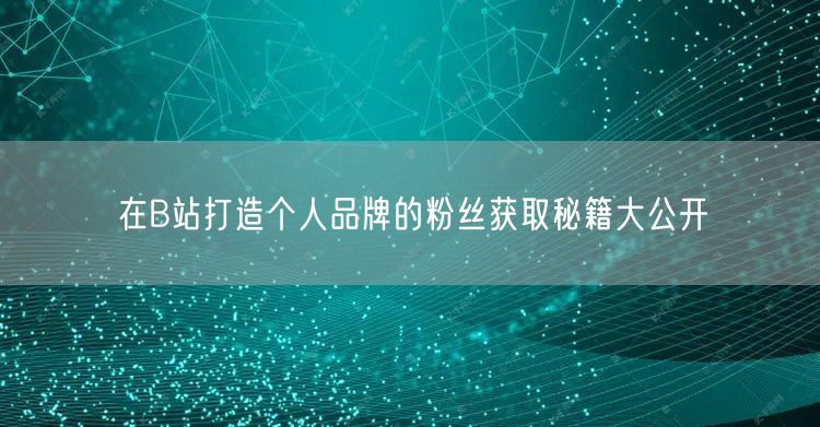 在B站打造个人品牌的粉丝获取秘籍大公开