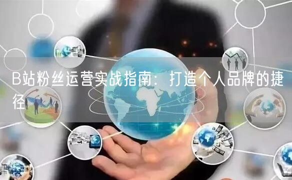 B站粉丝运营实战指南：打造个人品牌的捷径