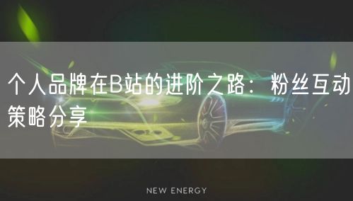 个人品牌在B站的进阶之路：粉丝互动策略分享
