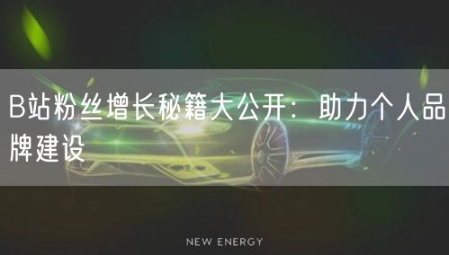 B站粉丝增长秘籍大公开：助力个人品牌建设