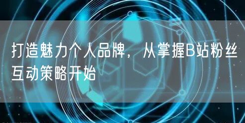 打造魅力个人品牌，从掌握B站粉丝互动策略开始