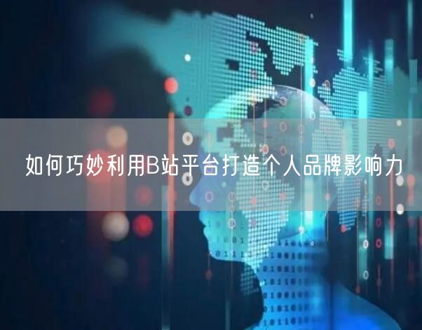 如何巧妙利用B站平台打造个人品牌影响力