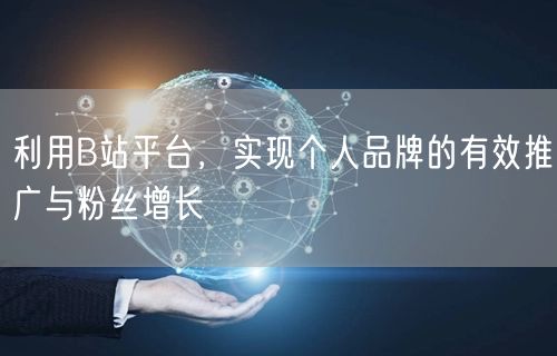 利用B站平台，实现个人品牌的有效推广与粉丝增长