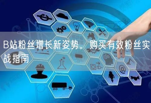 B站粉丝增长新姿势，购买有效粉丝实战指南