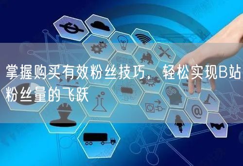 掌握购买有效粉丝技巧，轻松实现B站粉丝量的飞跃