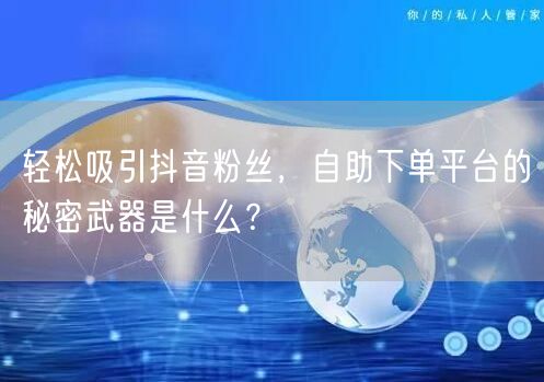 轻松吸引抖音粉丝，自助下单平台的秘密武器是什么？
