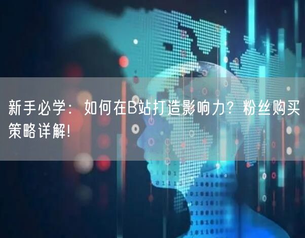 新手必学：如何在B站打造影响力？粉丝购买策略详解!