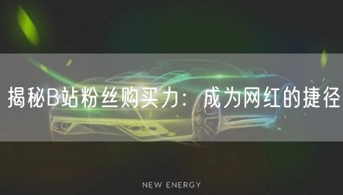 揭秘B站粉丝购买力：成为网红的捷径