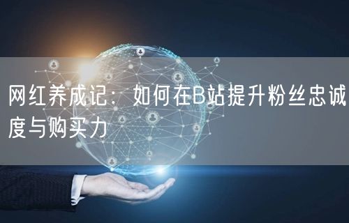 网红养成记：如何在B站提升粉丝忠诚度与购买力