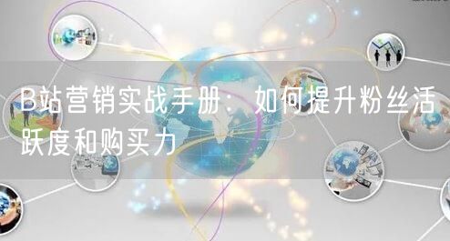 B站营销实战手册：如何提升粉丝活跃度和购买力