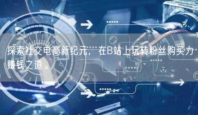 探索社交电商新纪元，在B站上玩转粉丝购买力赚钱之道。