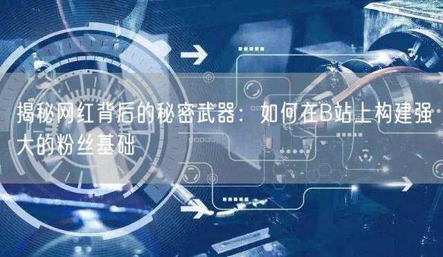 揭秘网红背后的秘密武器：如何在B站上构建强大的粉丝基础