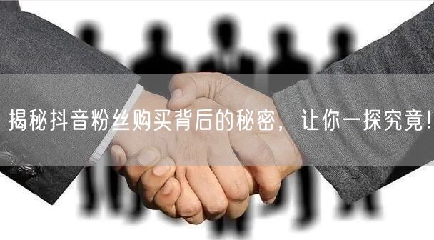 揭秘抖音粉丝购买背后的秘密，让你一探究竟！