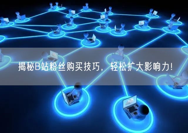 揭秘B站粉丝购买技巧，轻松扩大影响力！