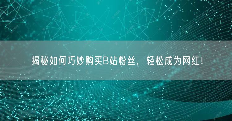 揭秘如何巧妙购买B站粉丝，轻松成为网红！