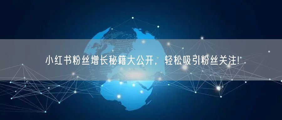 小红书粉丝增长秘籍大公开，轻松吸引粉丝关注!