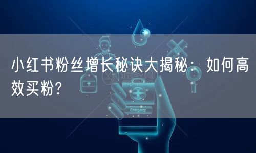 小红书粉丝增长秘诀大揭秘：如何高效买粉?